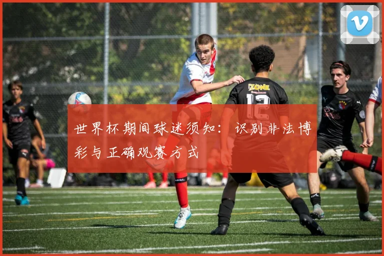 世界杯期间球迷须知：识别非法博彩与正确观赛方式