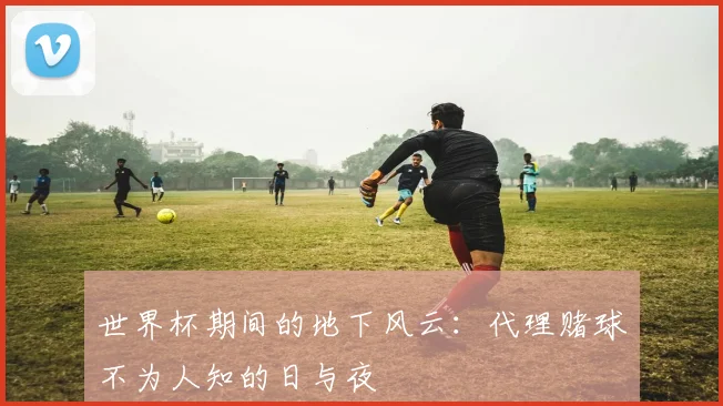 世界杯期间的地下风云：代理赌球不为人知的日与夜