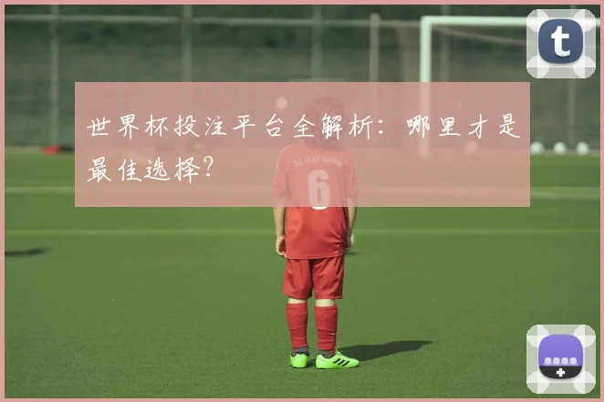 世界杯投注平台全解析：哪里才是最佳选择？