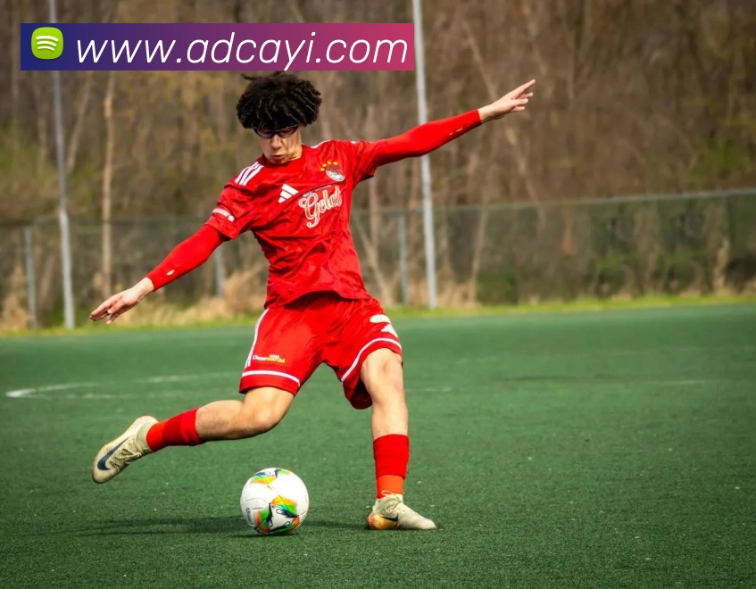 mksports最新消息平台生态图